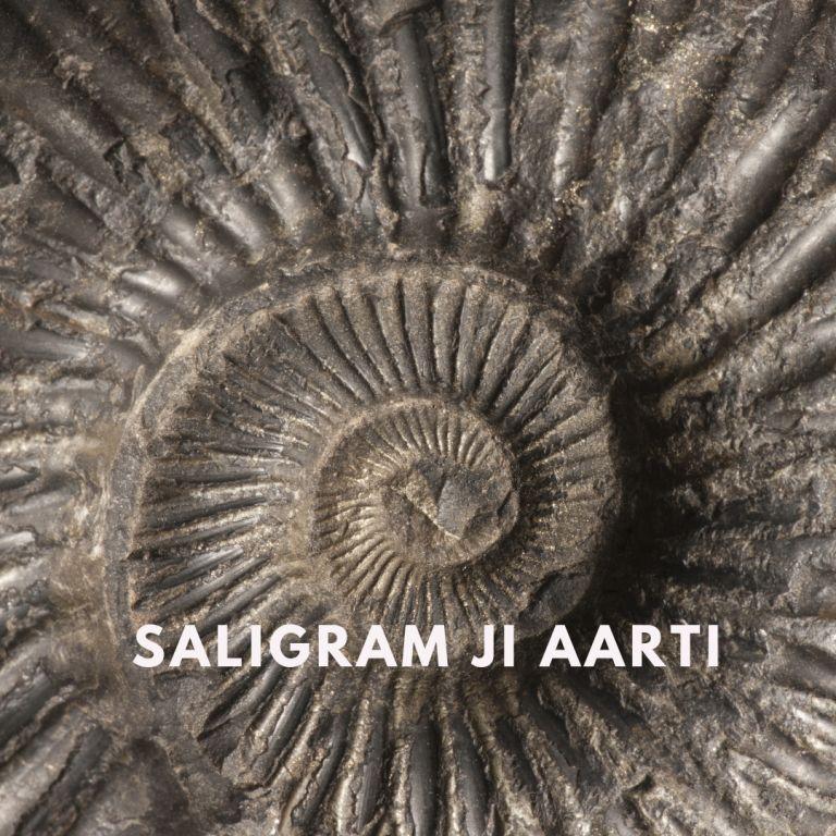 You are currently viewing Exclusive Saligram Ji Ki Aarti In Hindi