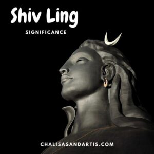 Read more about the article Shiva Linga in Hinduism- Hope You are not Misunderstood